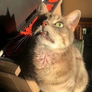 Meet your Posher, Melissa